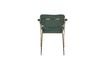 Miniature Fauteuil Jolien or et vert foncé 10