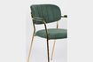 Miniature Fauteuil Jolien or et vert foncé 12