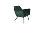 Miniature Fauteuil lounge Bon en velours vert Détouré