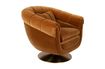 Miniature Fauteuil Member Whisky 9