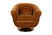 Miniature Fauteuil Member Whisky 10