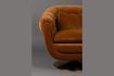 Miniature Fauteuil Member Whisky 8