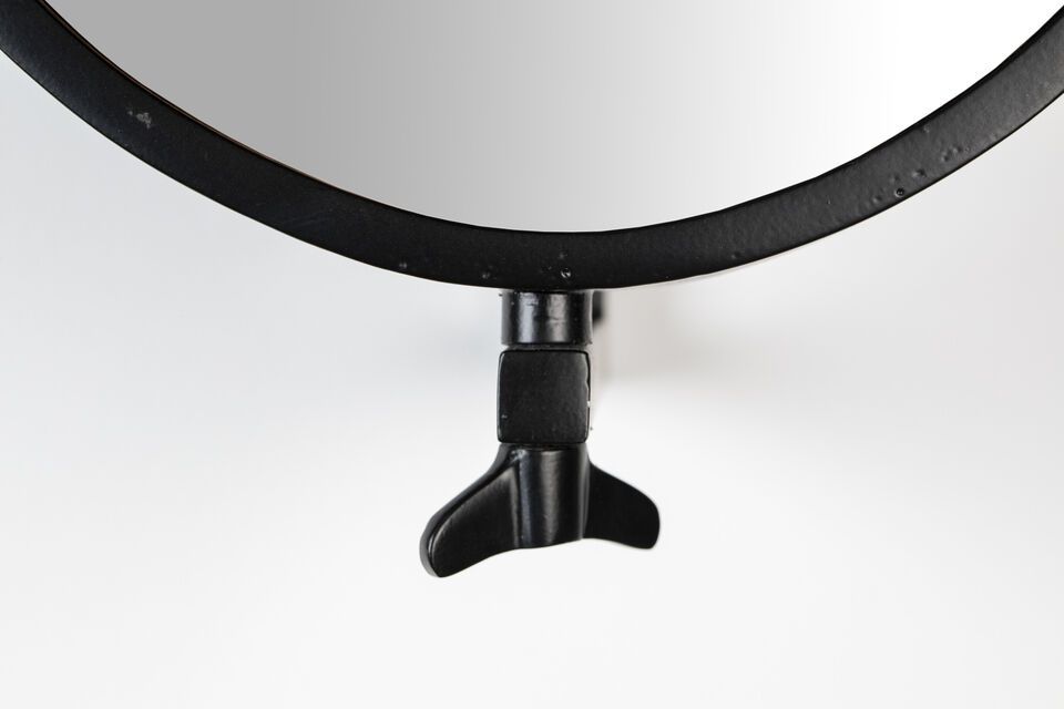 Appreciate the beauty and flexibility of the Lara mirror