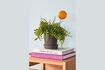 Miniature Globe en verre ambre Flora 3