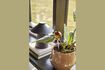 Miniature Globe en verre ambre Flora 4