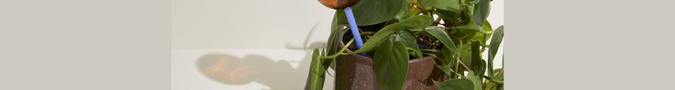 Mise en avant matière Globe en verre vert Flora