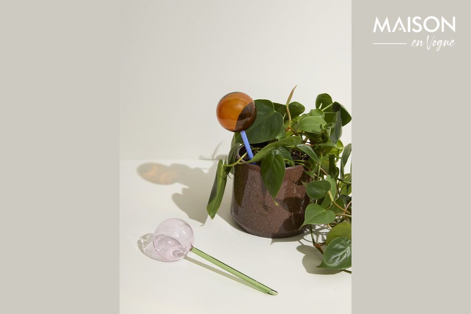 Une touche de nature, élégance en verre.