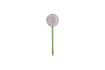 Miniature Globe en verre vert Flora 1
