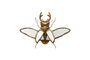 Miniature Gold resin insect figurine Mirrors Clipped