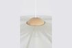 Miniature Grande suspension en fer beige Belle Pendant 7