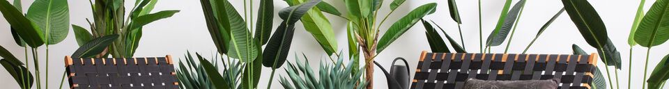 Material Details Green artificial plant Strelitzia