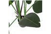 Miniature Green artificial plant Strelitzia 4