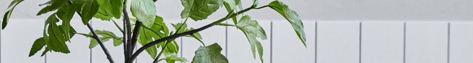 Benadrukte materialen Groene kunstplant 81 cm HDFig