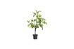 Miniatuur Groene kunstplant 81 cm HDFig 1