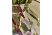 Miniatura Jarrón H23 cm de vidrio multicolor HDDot 3