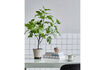 Miniaturansicht Künstliche Pflanze grün 81 cm HDFig 2