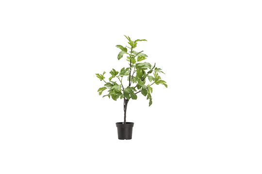 Künstliche Pflanze grün 81 cm HDFig