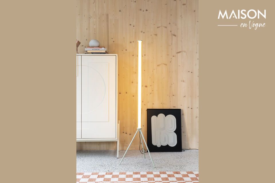 La lampada tubolare presenta un design slanciato ed elegante