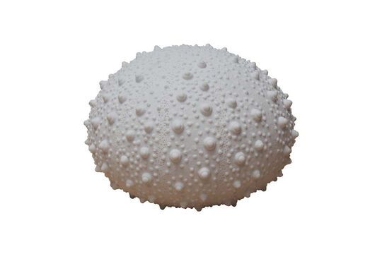 Ver el perfil del producto lámpara de mesa de cerámica blanca Oursin Lámpara de mesa de cerámica blanca Oursin