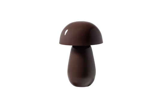 Voir la fiche produit lampe de table Métal Brun Brillant LUMOR Lampe de table Métal Brun Brillant LUMOR