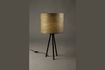 Miniature Lampe de table Woodland 10