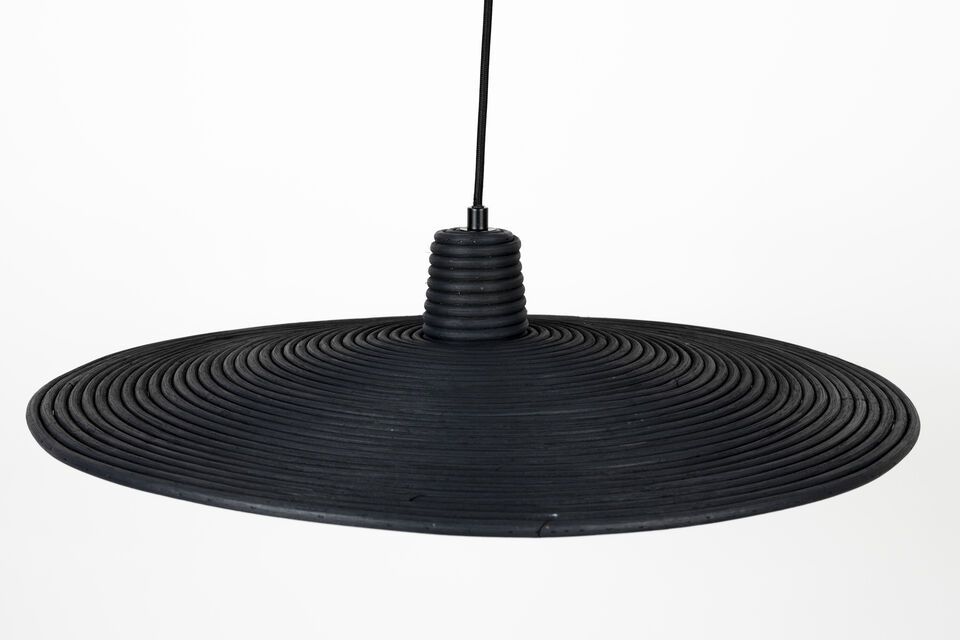 Its almost flat shape gives the impression of floating in the air