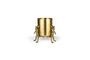 Miniature Large gold-plated recycled aluminum planter Crocodiles Clipped
