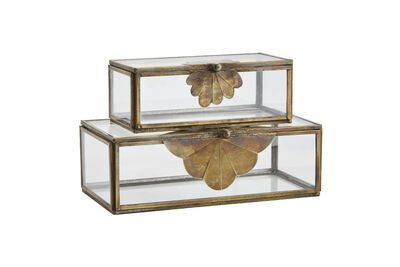 Lot de 2 boîtes en verre et fer Brass Leaf