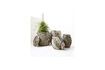 Miniature Lot de 2 paniers en fibres naturelles clair et noir Effect 4