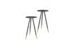 Miniature Lot de 2 supports de plantes Stalwart 1