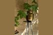 Miniature Lot de 2 supports de plantes Stalwart 2