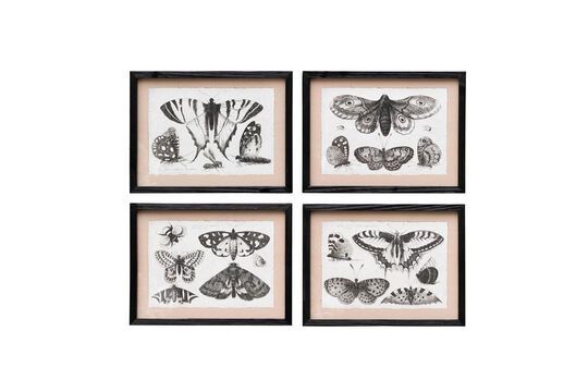 Lot de 4 cadres en bois noir Papillons