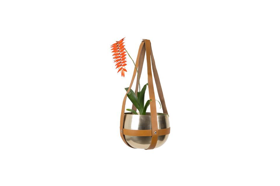 Oasis planter - 10