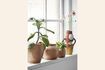 Miniature Peachy stoneware planter 2