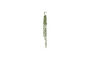 Miniature Pearl Plante, Verte, Fleurs artificielles Détouré