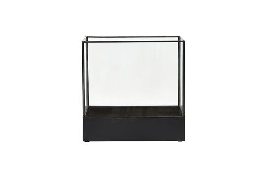 Petit boîte en verre noir Plant