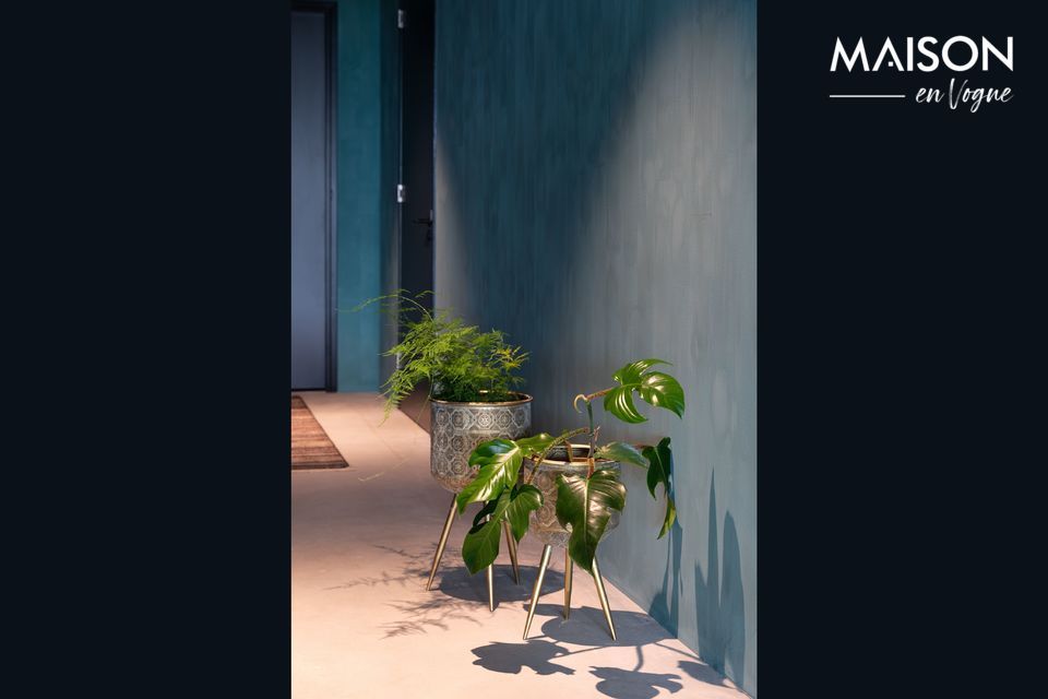 Pianta botanica Stand dimensione M DutchBone
