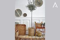 Piatti da aperitivo e accessori
