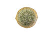 Miniatura Piatto da portata Ø30,5 cm in gres verde Milani 7