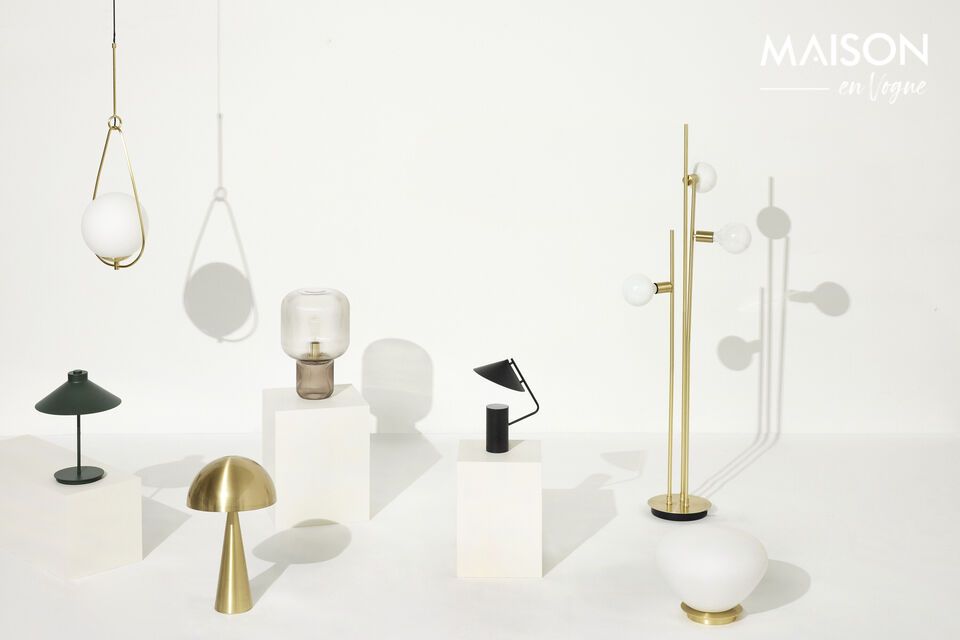 This lamp combines natural beauty and functionality
