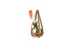 Miniatura Plantador Oasis 12