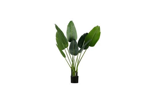 Plante artifcielle Strelitzia