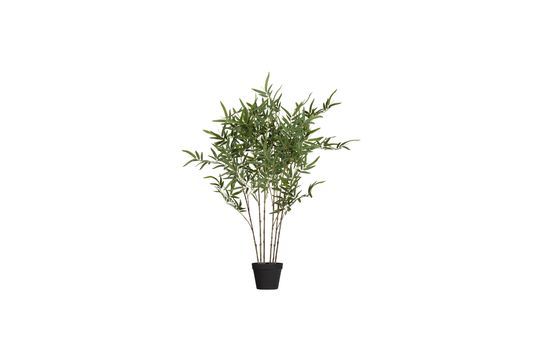 Plante artificielle verte Bambusa Détouré
