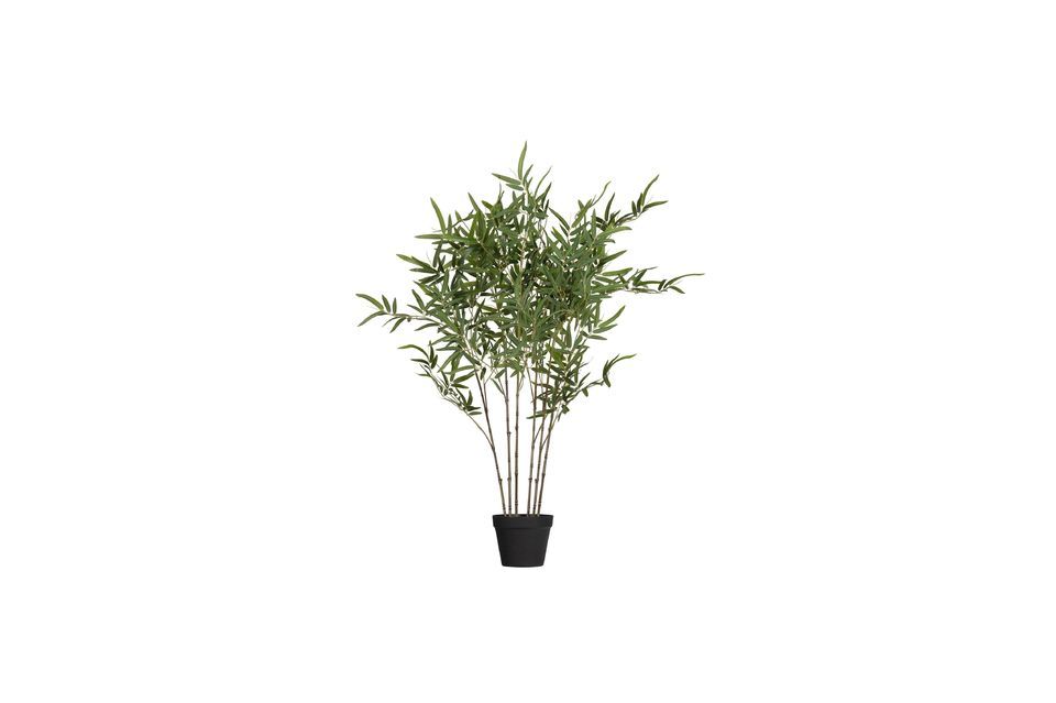 Plante artificielle verte Bambusa Woood