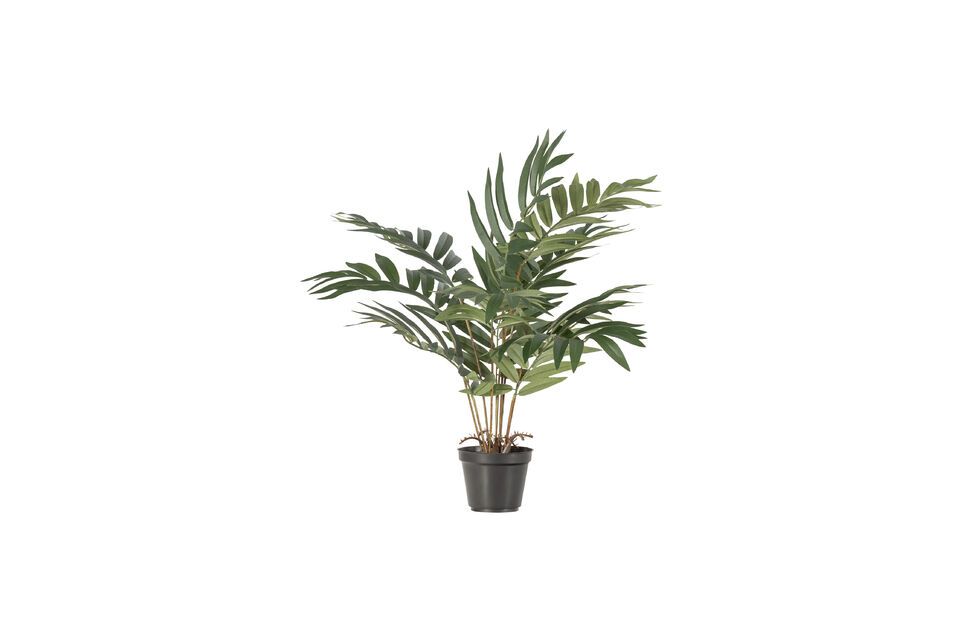 Plante artificielle verte Kwai Woood - 68cm