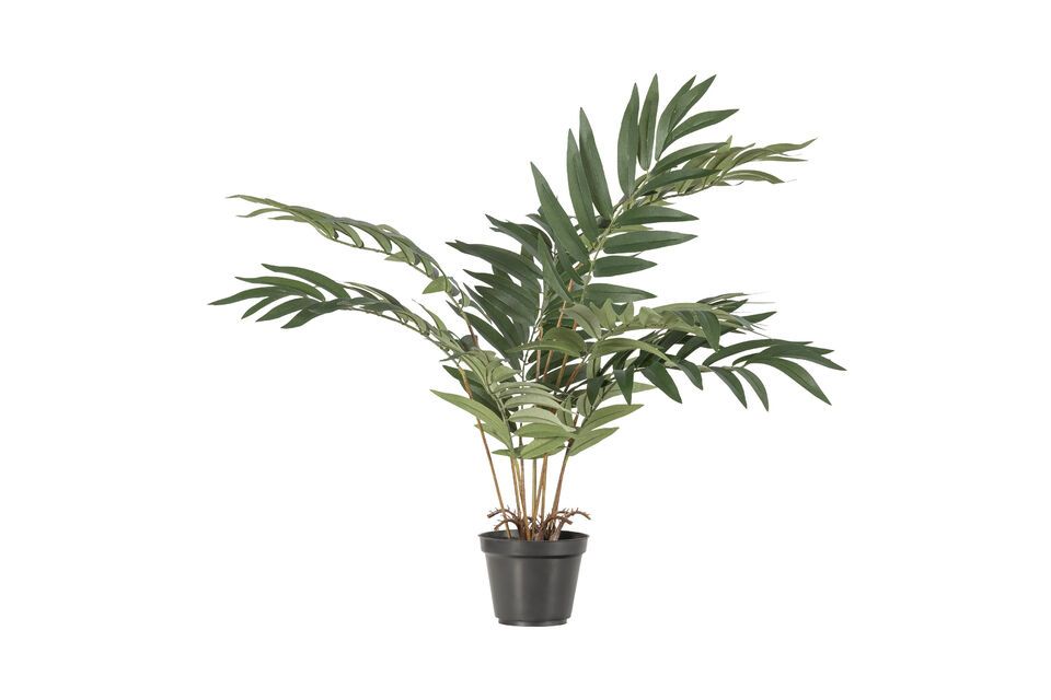 Plante artificielle verte Kwai Woood - 68cm