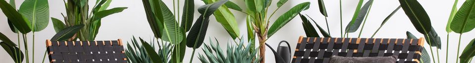 Mise en avant matière Plante artificielle verte Strelitzia