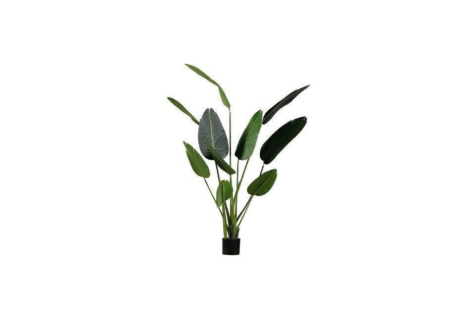 Plante artificielle verte Strelitzia Woood