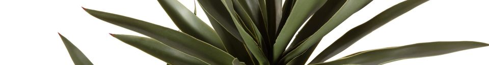 Mise en avant matière Plante artificielle verte Yucca
