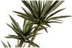 Miniature Plante artificielle verte Yucca 4